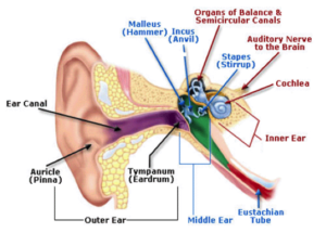 ear-dropnoise